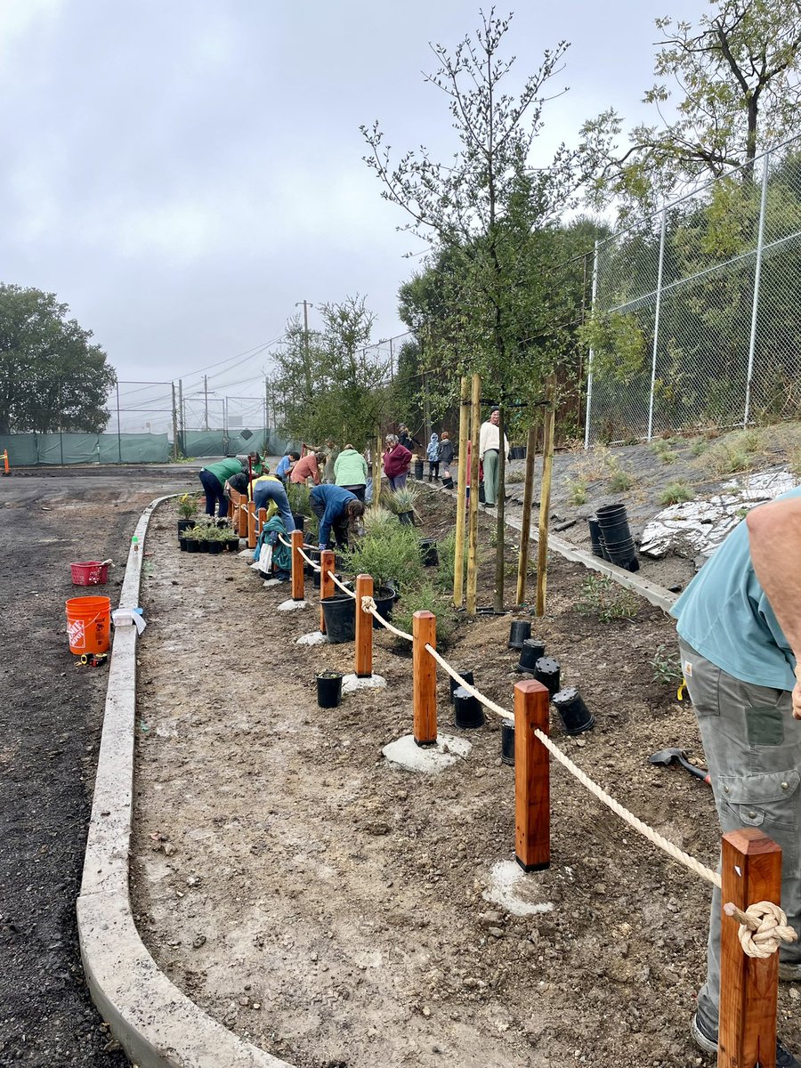 G_InTheCity's tweet photo. Great turnout &amp; perfect drizzly day for Tree 🌳 planting 🙏 to all the students and parents helping us transform Melrose Elementary in Oakland into a #GreenSchoolyard https://t.co/7EoNME7FR0