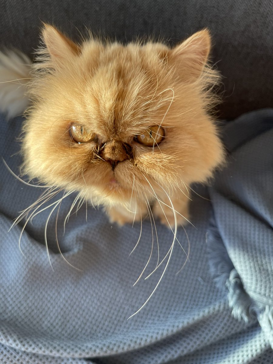 yargılayıcı biri🥺