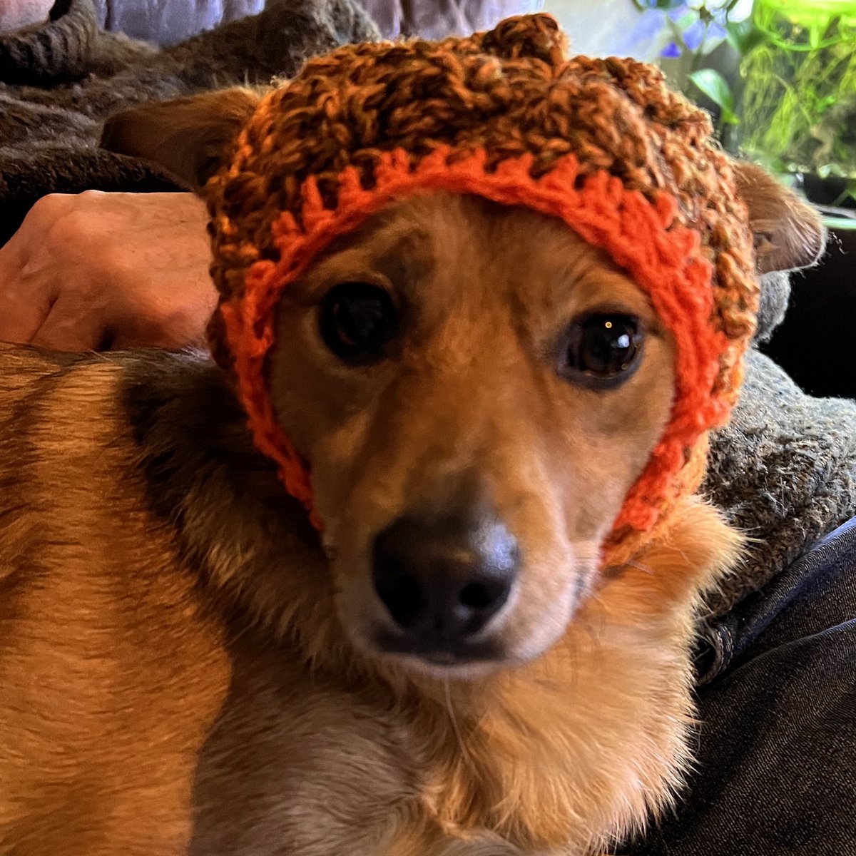 Like mother like daughter x