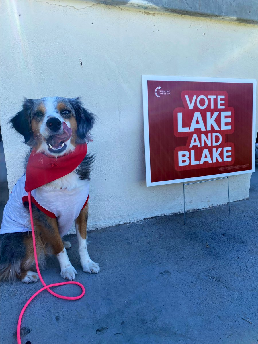 _charlotteperez's tweet photo. .@tpaction had HUNDREDS of people at our last Super Saturday before election day!! 3 days left to vote for @KariLake, @bgmasters &amp; @AbrahamHamadeh 🇺🇸 Let’s save Arizona ❤️🌵 https://t.co/LPR2wPbZGm