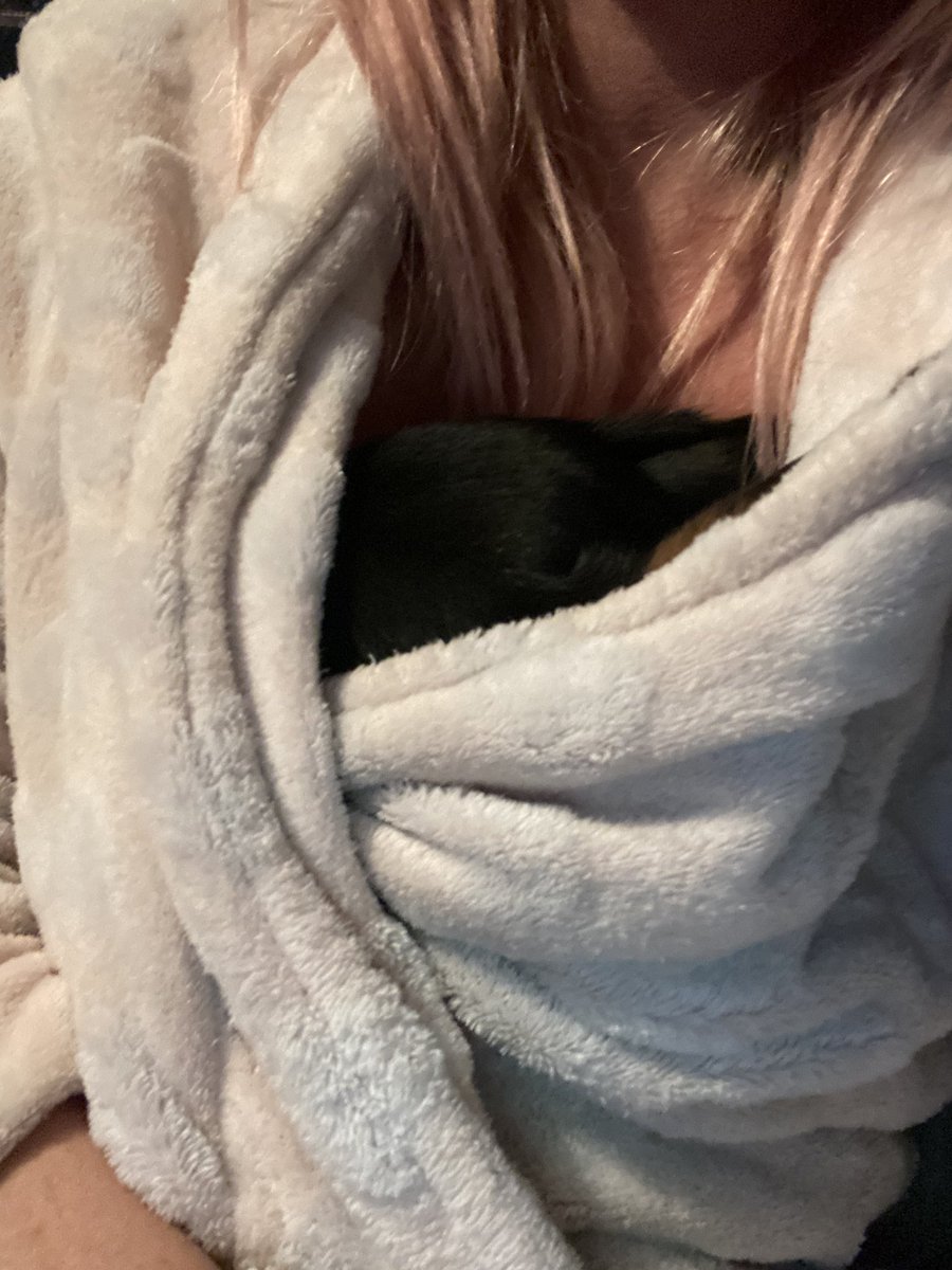 louwager1504's tweet photo. @ClassicFM #PetClassics our baby Ocho finally settled  curled up on me in my dressing gowned thanks to your music https://t.co/zT5CuDMUFK