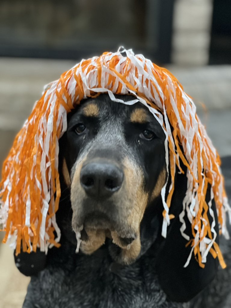 UTSocrgrl12's tweet photo. #LFG Summitt says #beatUGA https://t.co/FMdMYe9w1X