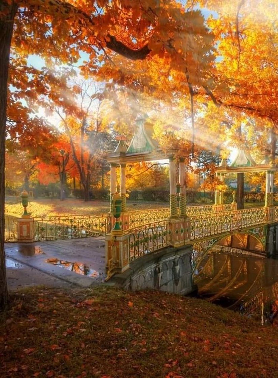 Царское село Гордеев