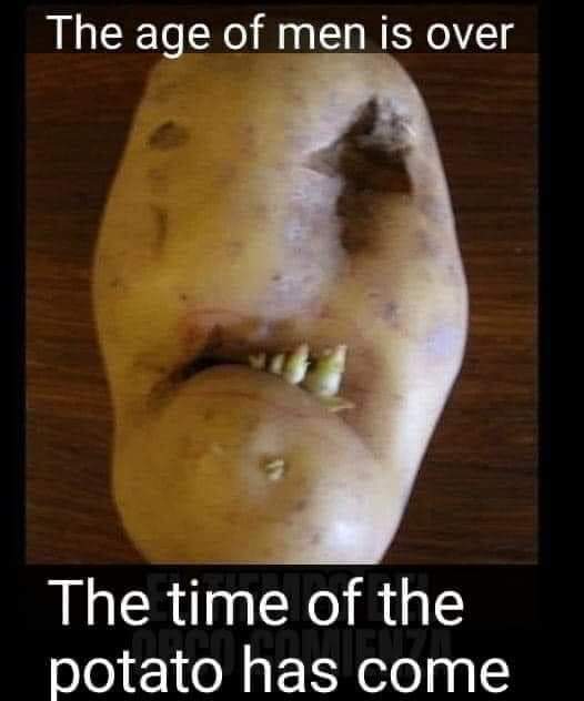 ErigolDelViento's tweet image. 