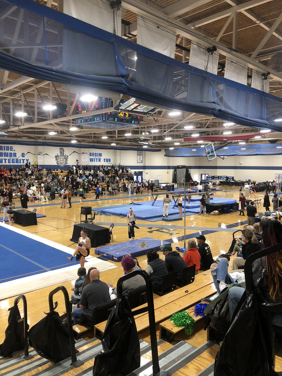 Gators 🐊 tweet media