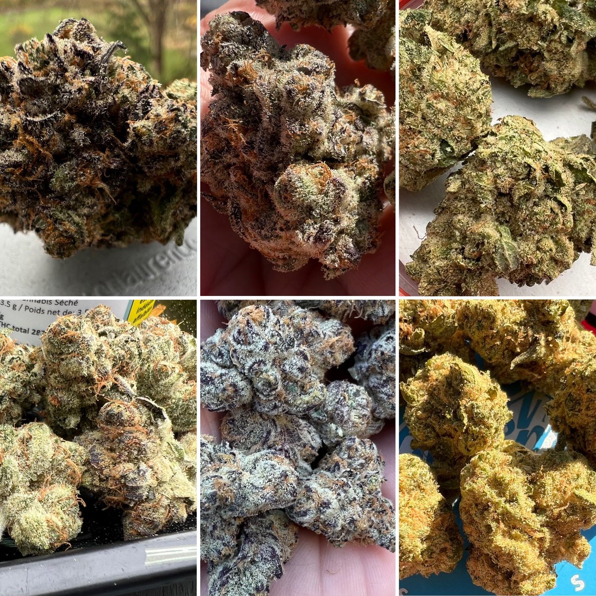 #randyroundup Lee Anne Womac, purple rain blkmkt, duct tape <a href="/SimplyBareOrgnc/">Simply Bare Organic</a>, cake <a href="/Habitat_LifeCA/">Habitat Life</a> , platinum grapes <a href="/organnicraft/">Organnicraft</a> z splitter @GhostDrops_ <a href="/ONCannabisStore/">Ontario Cannabis Store</a> <a href="/AvantBrands/">Avant Brands | TSX: AVNT</a>