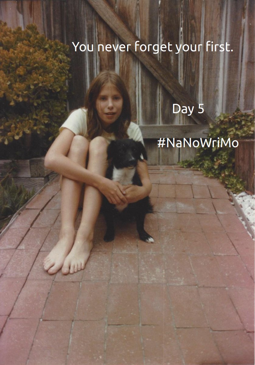 #NaNoWriMo2022 Day 5