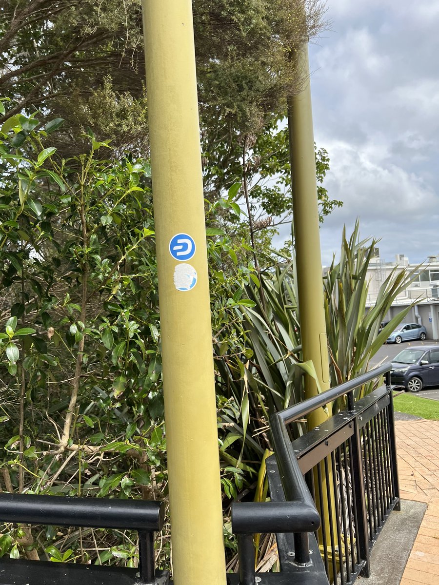 Dashnobi tweet media