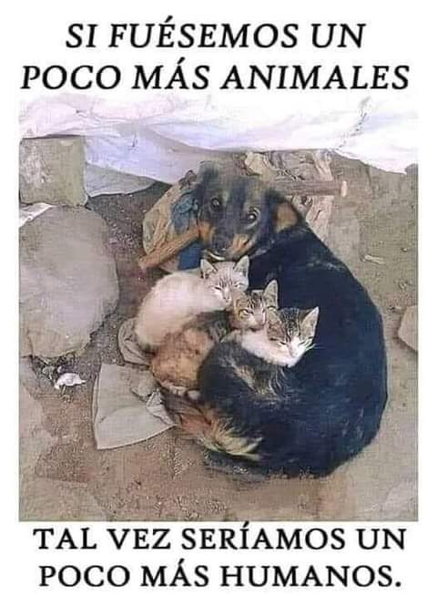 rogeliomtz75's tweet photo. ¡Cuánto para aprender! https://t.co/JgiSdCHYMt