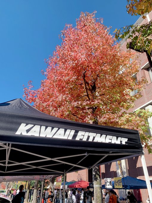 Twitterのコスプレ画像23