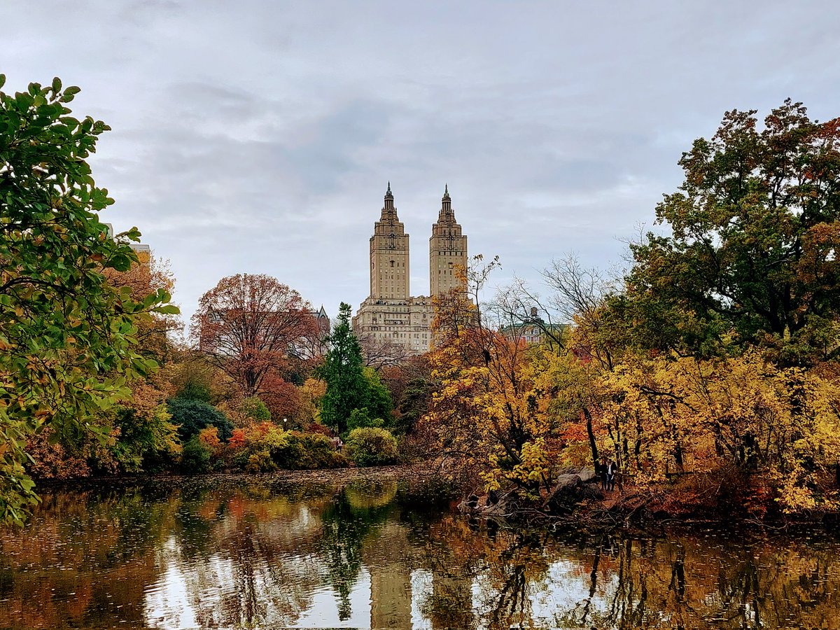 farydew's tweet photo. .@CentralParkNYC #CentralPark being all gorgeous. 
I'll definitely be back!😍 https://t.co/DYv4JZbY62