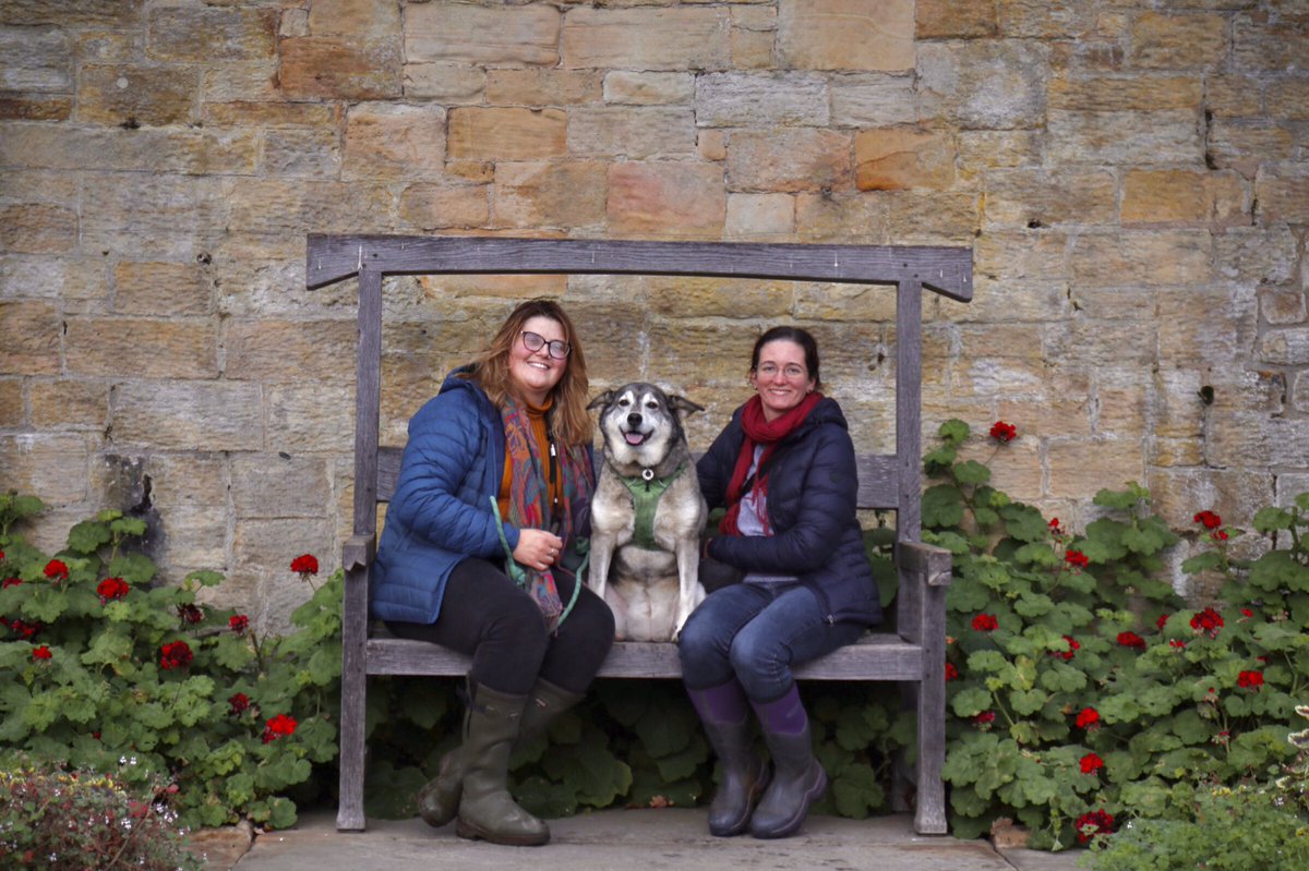 editbadger's tweet photo. Visiting Saskia and Chantal (and Aura) at Cragside and Barter Books in Northumberland #Cragside #BarterBooks #Northumberland #VisitingFriends https://t.co/pf62dmKroR
