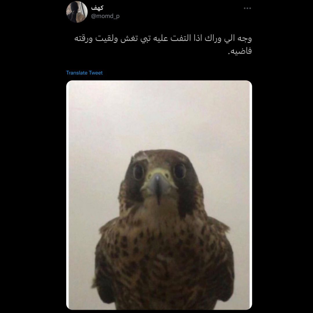xixm7m's tweet photo. @DewQahtani https://t.co/6VQWGdrqp6