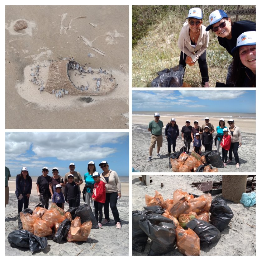 #LimpiezaDeCostas con 15 voluntarios se recorrieron casi 2 km y se retiraron de la playa de #Guazuvira 92 kg de residuos <a href="/caneloneslimpi1/">@caneloneslimpio</a> <a href="/MAmbienteuy/">Ministerio de Ambiente</a> <a href="/IdCanelones/">Gobierno de Canelones</a>