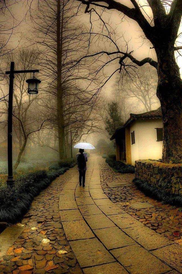fraveris's tweet photo. Everything passes, but not everything is forgotten.

- Ivan Bunin https://t.co/tkNrgNwbUu