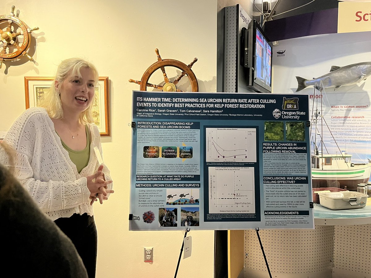 sarahgravem's tweet photo. So proud of our undergraduate students presenting their summer research at State of the Coast today! We had fish, urchins and sea star presentations! @PiscoScience @BrennaRothman @Faith__Townsend @tomascalvanese @oregonkelp @ODFWMarine https://t.co/P2WYkMqsxn