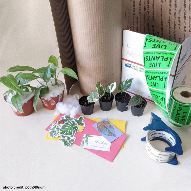 mickyaking's tweet photo. #NationalEntrepreneurshipMonth #USPS #mszonegoat #USPSEmployee https://t.co/fHLUGlRaoO