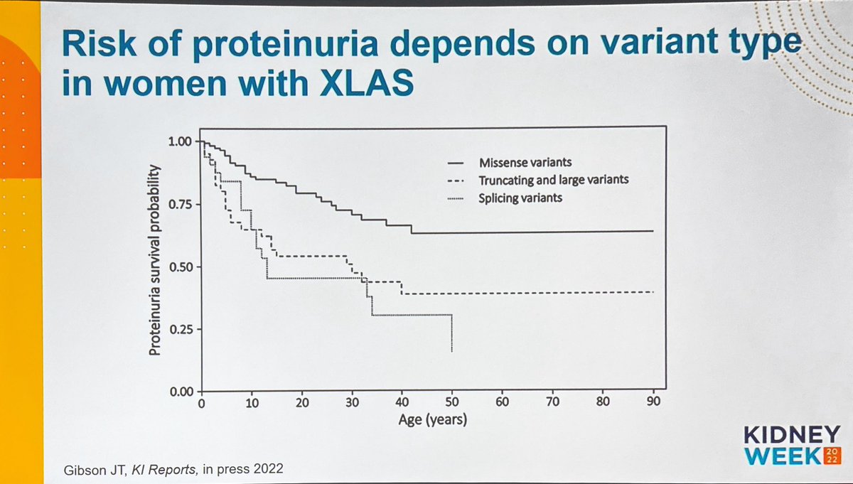 KidneyCathy's tweet photo. Crazy to think that a 40% incidence of kidney failure by the age of 60 was dismissed as mild! Genotyping can allow for better prognostication but we still need to actually find these women and not just focus on XY males with COL4A5 disease. 
@rheault_m #kidneywk @womeninnephro https://t.co/sHd1ymSM1u
