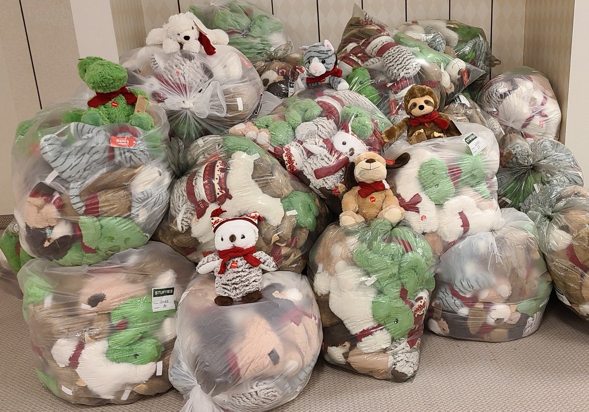 BbyServices's tweet image. A big thank you to the @LMCbureau for their generous donation of wool and stuffies toward our 2022 Burnaby Christmas Bureau! 🎁🎅

Your continued support is always appreciated! 🙏

#burnabychristmasbureau #bbyservices #toyroom #burnaby #community