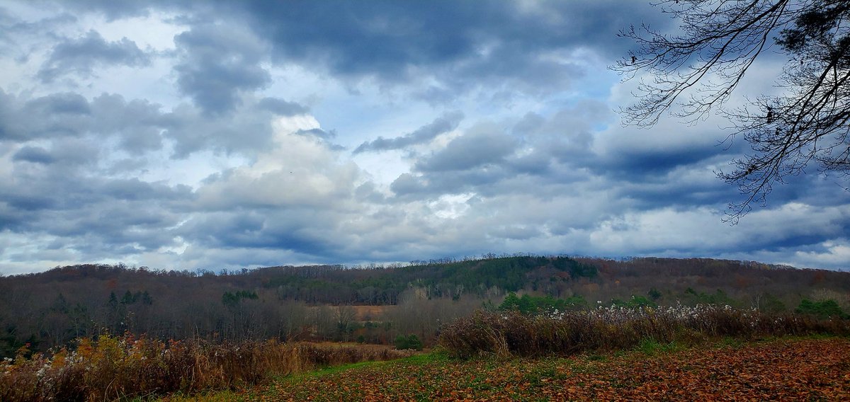 The Trashman Cometh tweet media