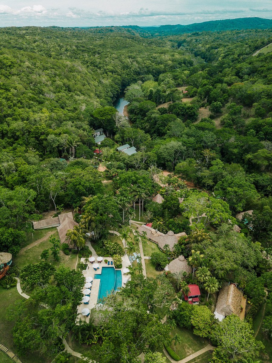 familytravel4um's tweet photo. When you travel to @chaacreek you not only stay on a 400-acre nature reserve, you stay at a beautiful place that you know cares about the environment and the communities around @chaacreek.

To learn about more fantastic stays click:
https://t.co/s0qpS9TiwN

#falltrips https://t.co/N7hJ7ddxOx