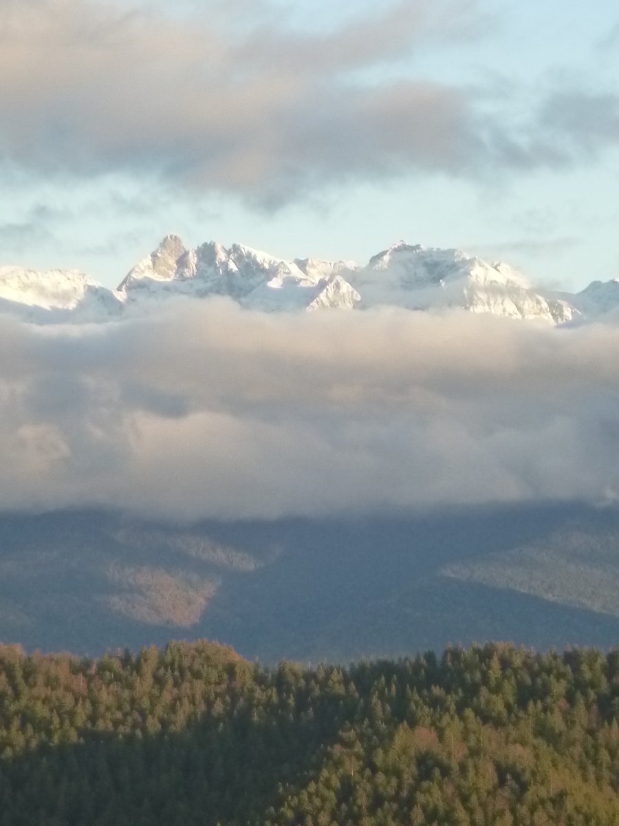 kus_steph's tweet photo. Belle ambiance sur l'arête à Jojo 1/2 #Chartreuse https://t.co/zYPFOnQPWR