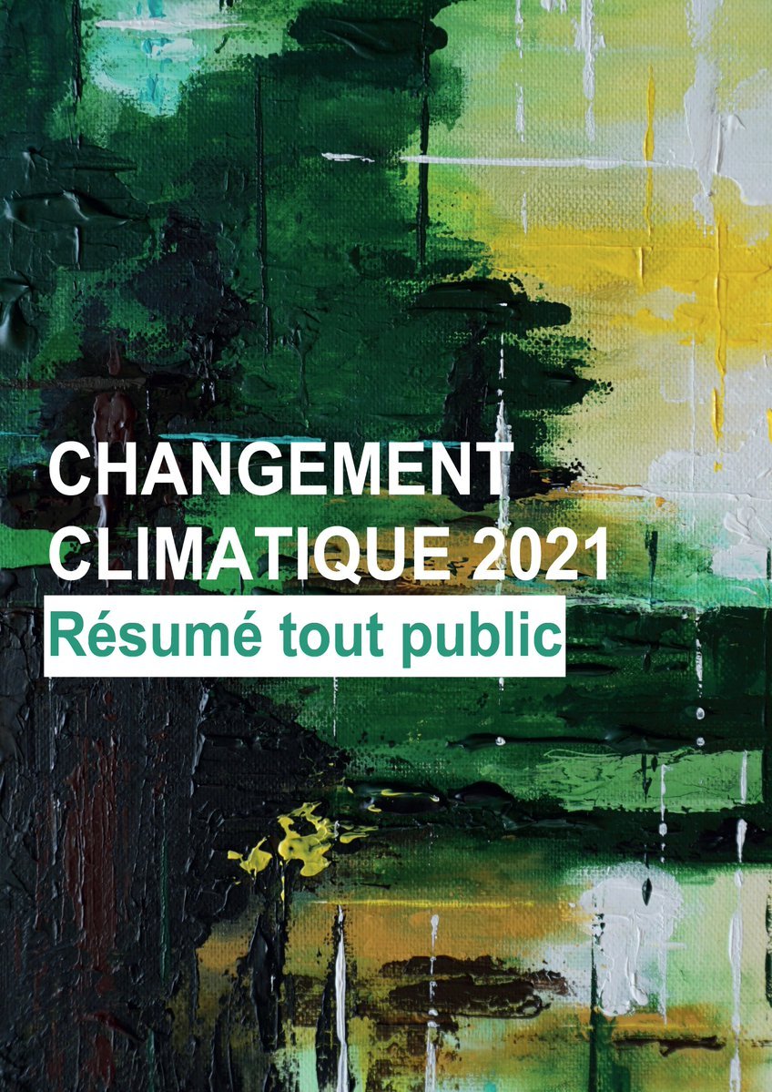 RT @lalifou@social.sciences.re
A mettre entre toute les mains : le résumé pour tous du 6e rapport du GIEC : en Français (merci YannWeb) : dropbox.com/s/zxajxdaffpn2… et en anglais ipcc.ch/report/ar6/wg1…
social.sciences.re/@lalifou/10929…