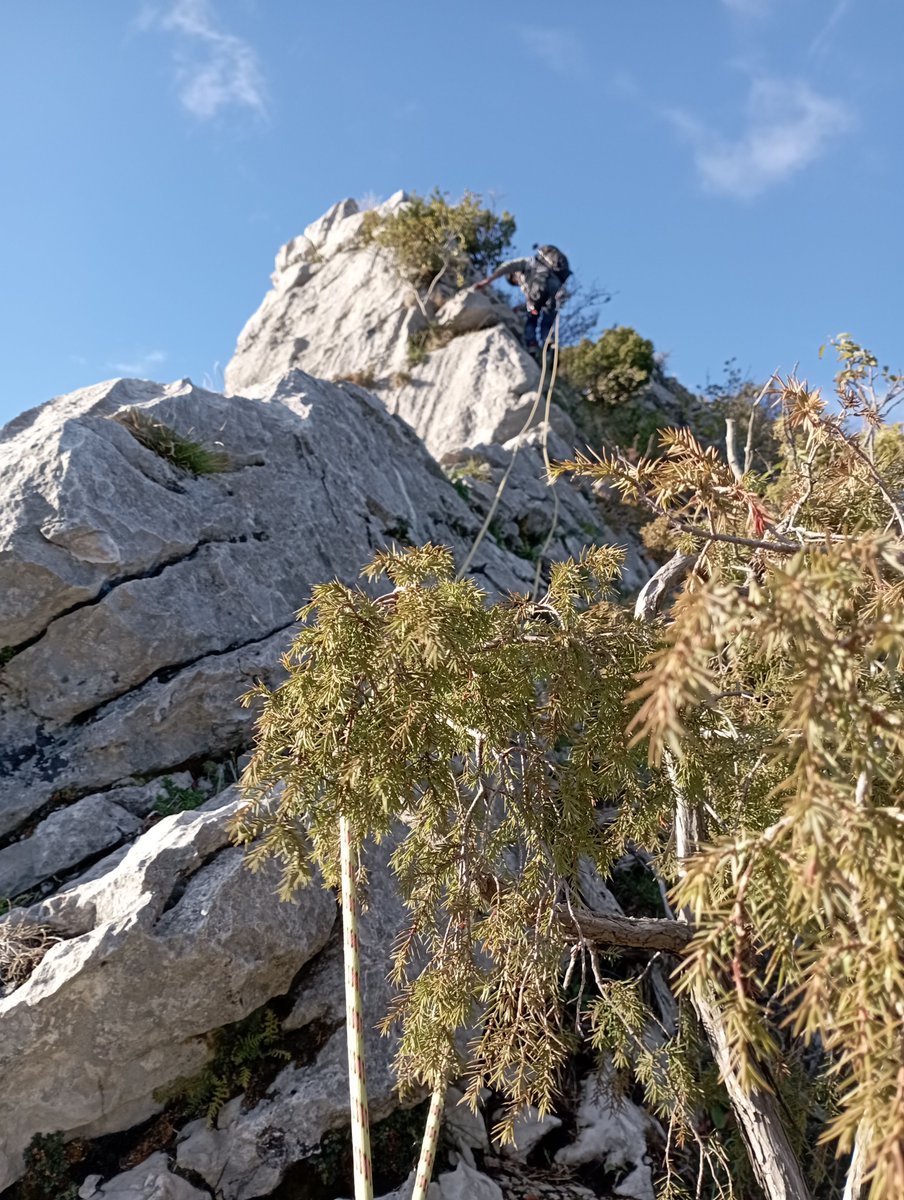 kus_steph's tweet photo. Belle ambiance sur l'arête à Jojo 2/2 #Chartreuse https://t.co/jHAuk4yZA7