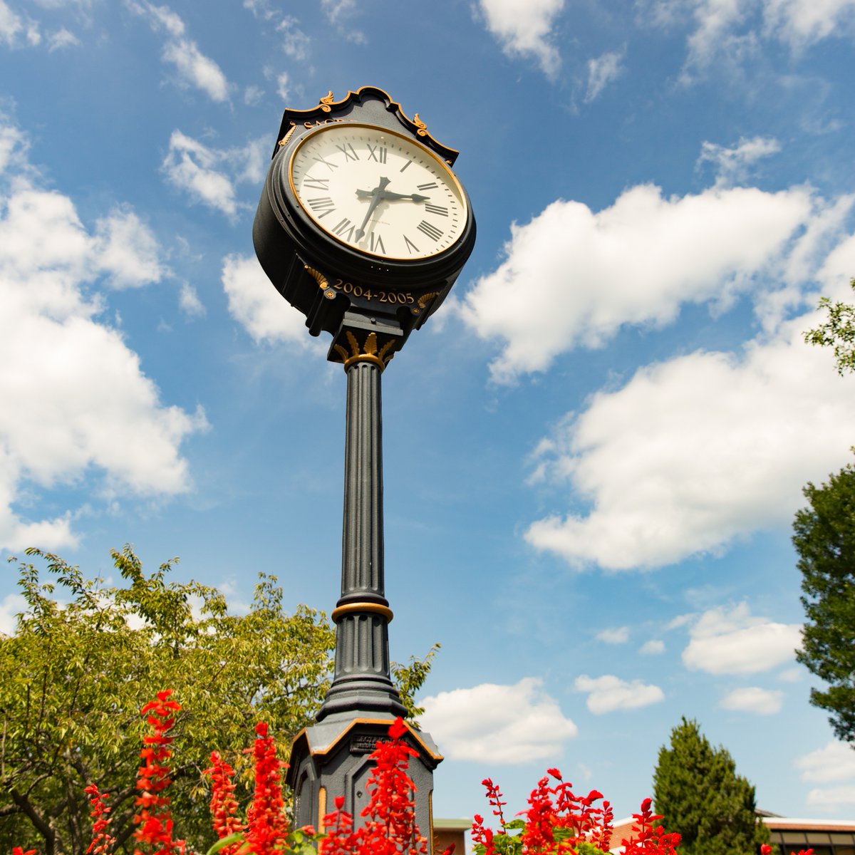 Don't forget to fall back one hour tonight 🍂⏰ Enjoy the extra hour of sleep!

#WeAreSHU #SHUViews