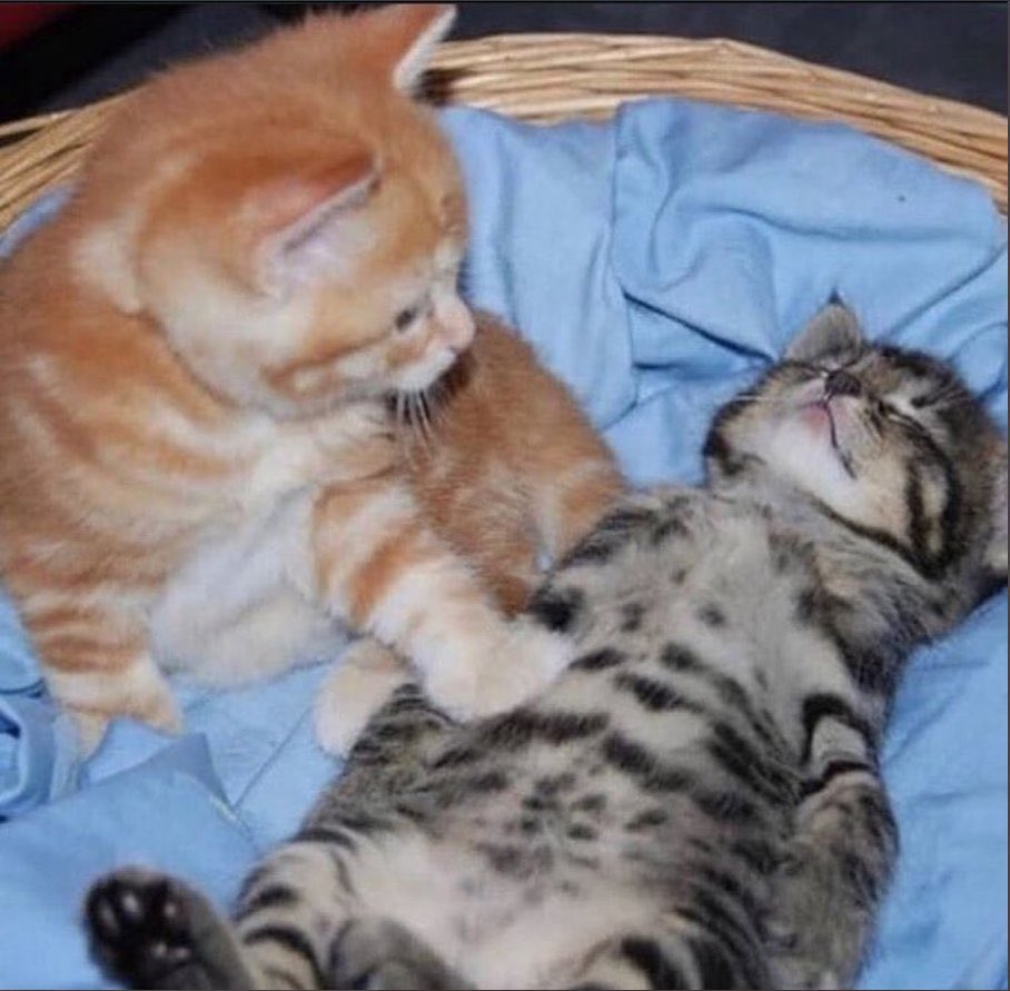 sol tarafimda bir agri var.. evet orasi kalbim bitanem.. sen kırdın