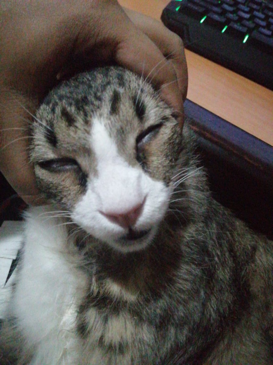 Kjskjskjskjs He is really handsome