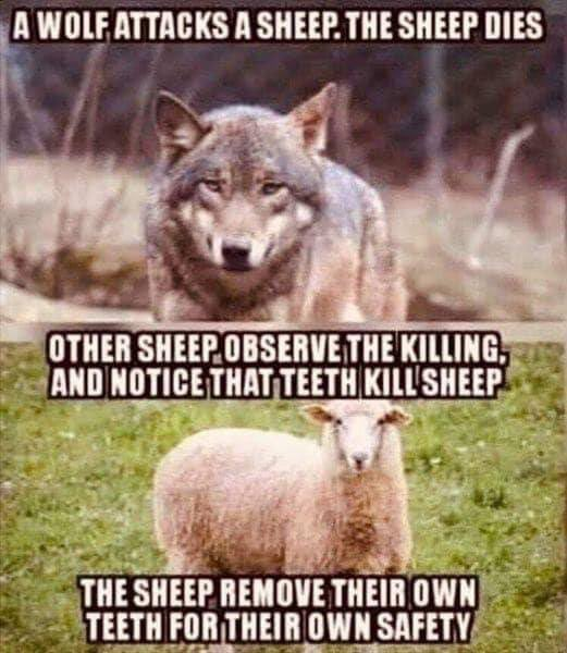 ModernPatriotWi's tweet photo. #2a #ShareAthon https://t.co/VzPc1WldZJ
