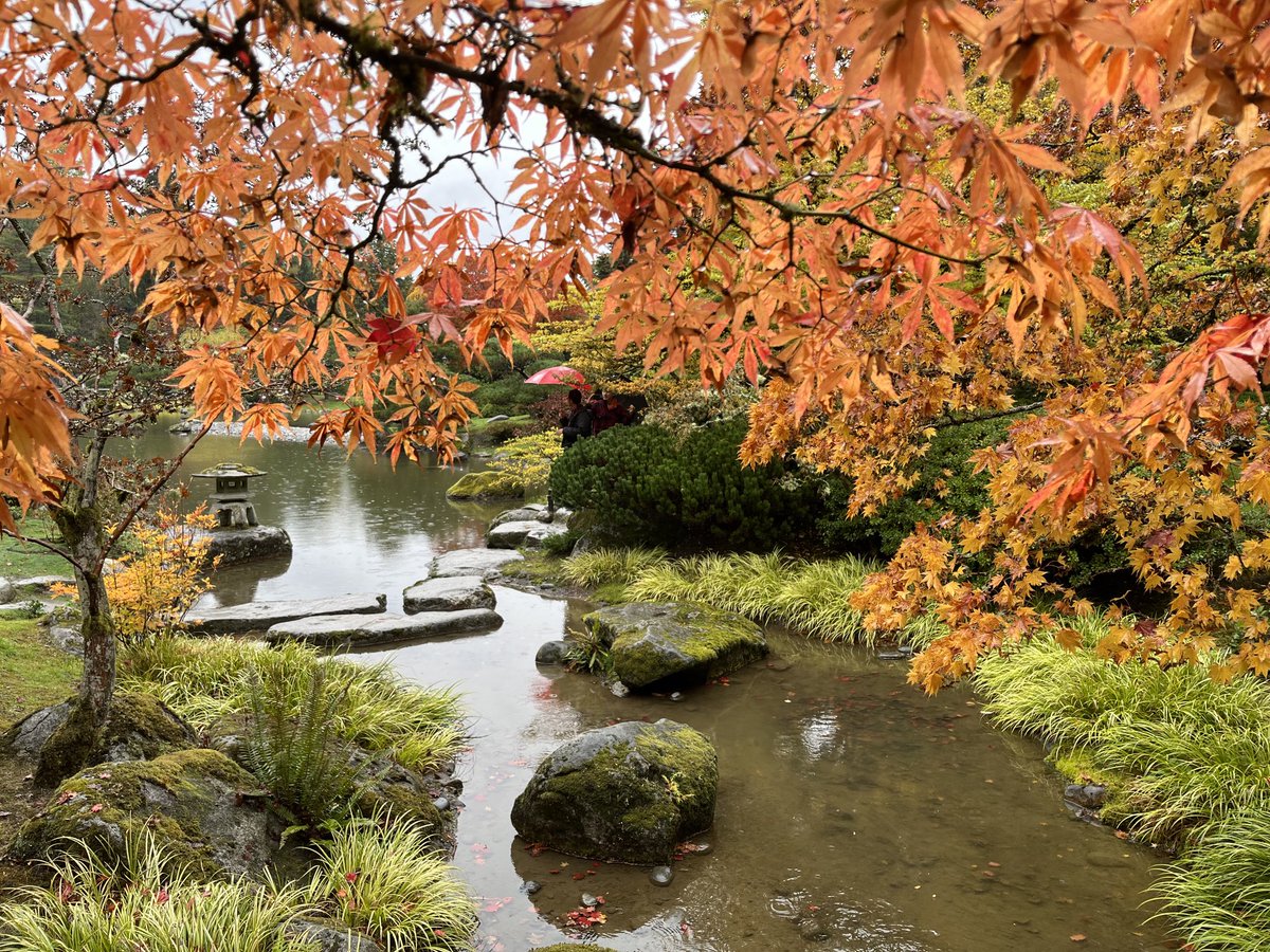 Gentle “Seattle rain” while walking in the park.