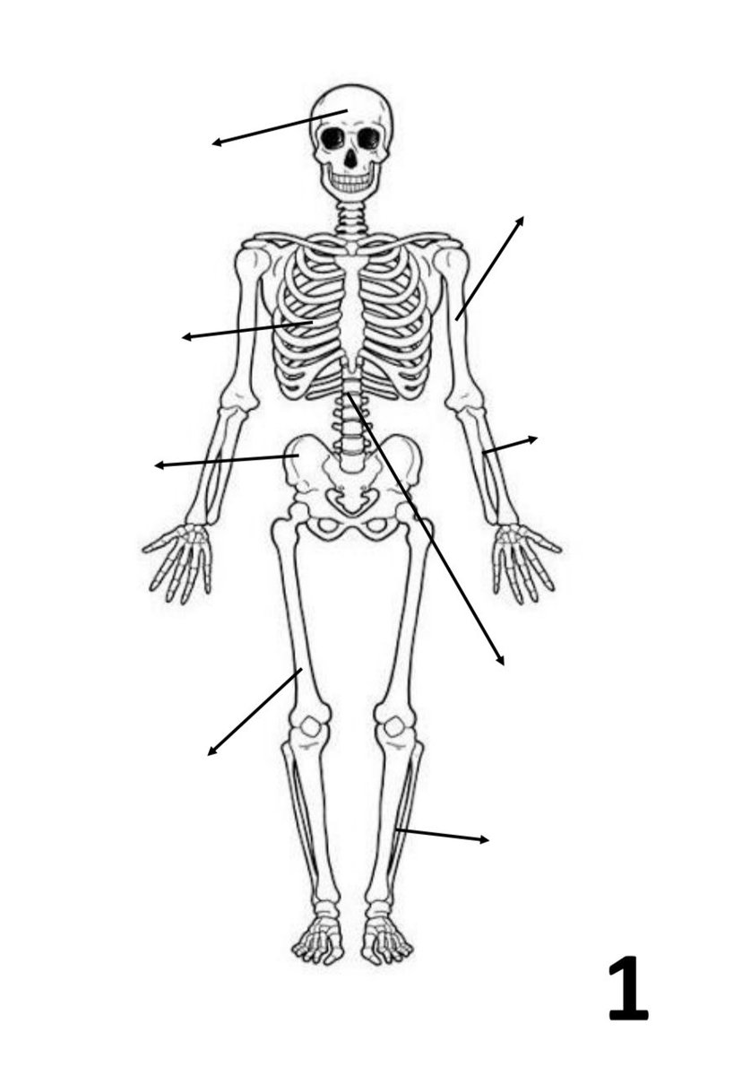 Bottlebol® tweet media