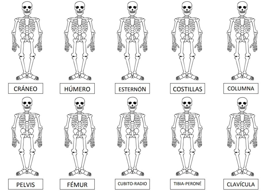 Bottlebol® tweet media