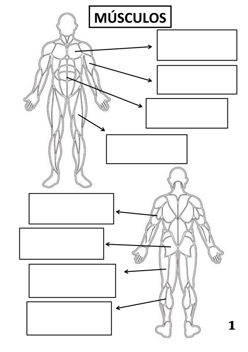 Bottlebol® tweet media