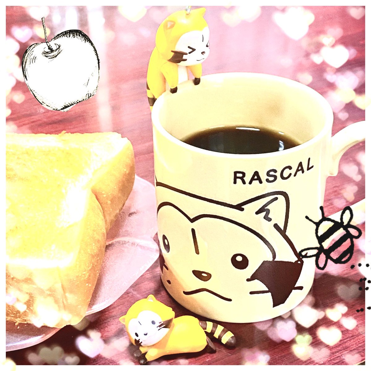 Rascal2011M's tweet image. おはようございますミャ
＃ラスカル ＃モーニング