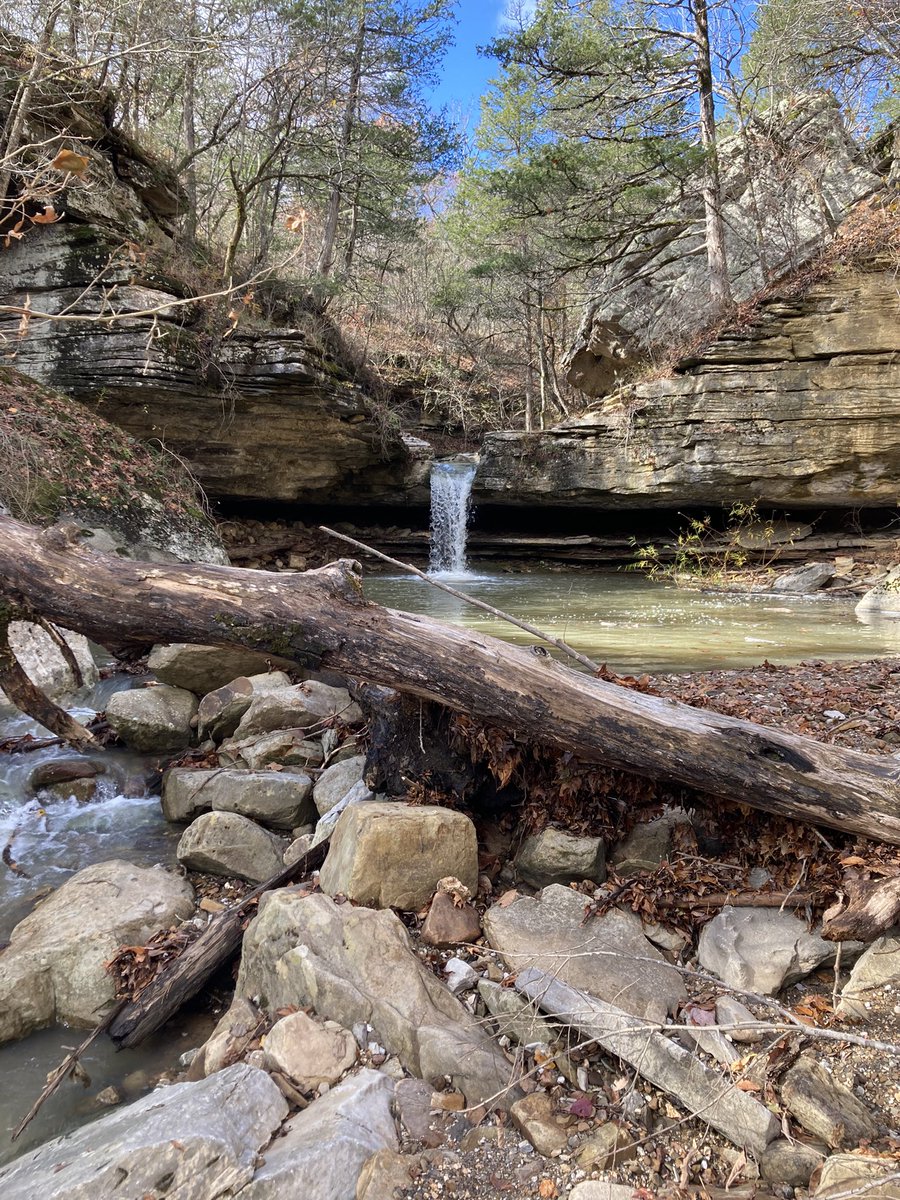 TaylorLWatson1's tweet photo. karst and streams and things #hydrology #geology #karst https://t.co/sSQx3SIole