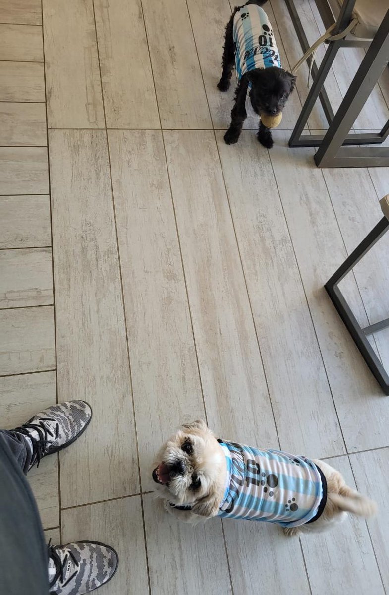 ya tenemos reemplazante de lo celso