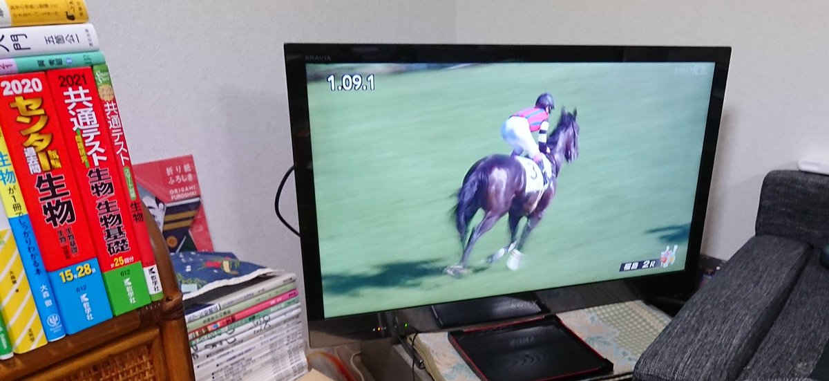 福島3レースは、シェーンと見せかけて菜七子カムバック!(*˘︶˘*).。.:*♡ アイファーラクーンとシェーンの単複で!