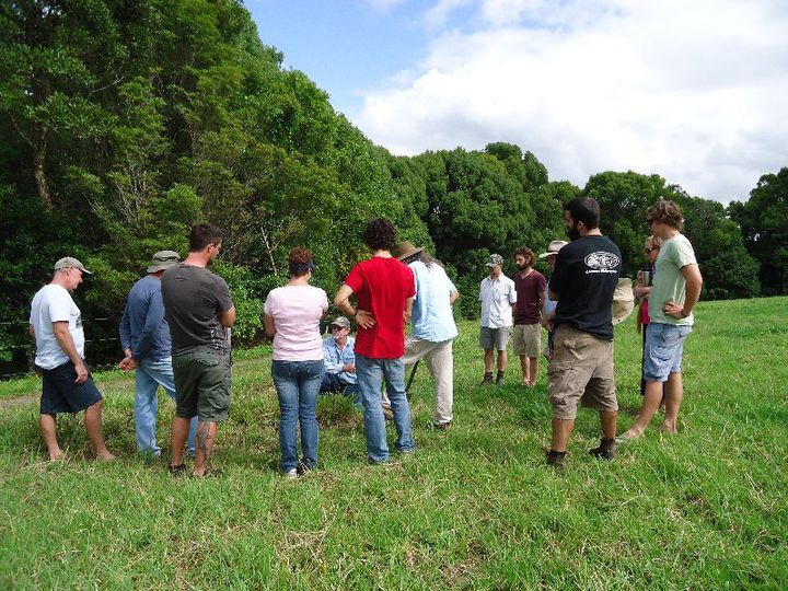 Holistic Management tweet media