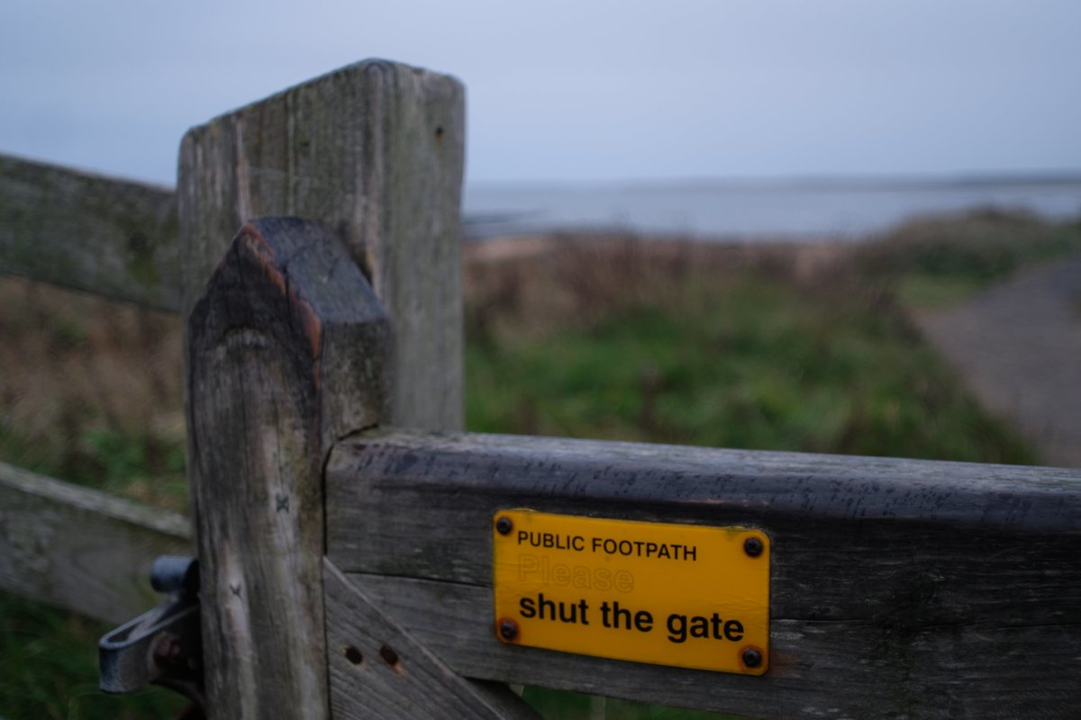 Peter Reed tweet media