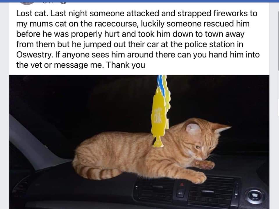 🐱🧨This is horrific
Last night someone attacked &amp; strapped #fireworks to a cat, luckily a kind person rescued him before he was hurt &amp; took him away from them, but he jumped out their car at police station in #Oswestry &amp; is #missing
Please lookout for him
m.facebook.com/story.php?stor…