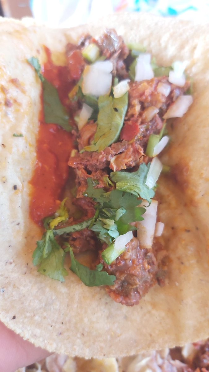 RodrigoTrumar's tweet photo. Dise el Dicho #BarrigaLlena ❤...........

Después de los tamalitos 🫔 siguió  la barbacha 🐑 con tortillas recién hechas 🫓🌮 y no podía faltar una 🍺. https://t.co/qYw8qmHGNw