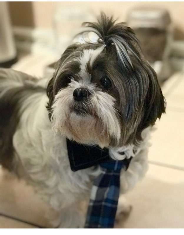 Ari Amari （アリアマリ） tweet media