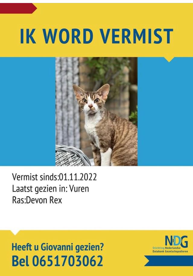 #vuren #katvermist