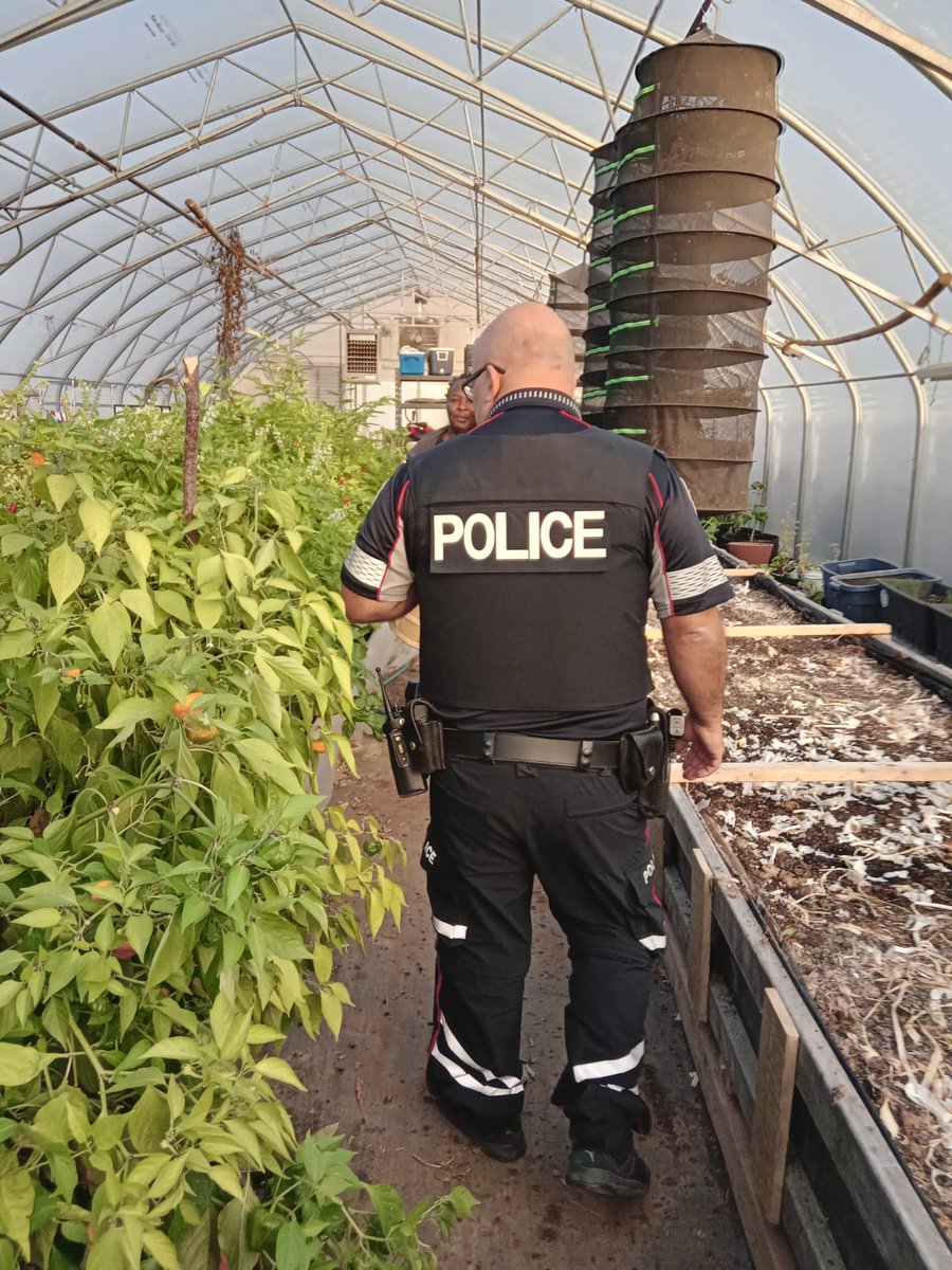 TPS_BCC's tweet photo. Thank you to @tps31nco_unite and @TPS13Div NCOs for helping deliver organic Whole Chicken including Vegetables to the most vulnerable communities in their Neighborhoods. Thank you to @CHeritagePark for the donation and @BlackfarmersT and @Collectivegrou1. https://t.co/EkSBZeEujm