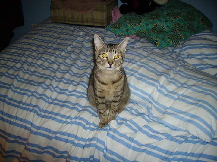 Anne-Gabrielle aka Swarks/Swarley/AG tweet media