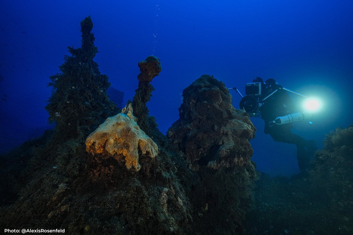 UNESCO's tweet photo. Have you ever heard of submarine volcanoes?
80% of our planet's 🌋 are hidden beneath the surface.
@UNESCO - #1Ocean team, led by photographer-explorer @AlexisRosenfeld is uncovering the mysteries of deep-sea volcanoes.
On this #TsunamiDay, learn more: https://t.co/ogtyOYTydu https://t.co/WsGnWjou41