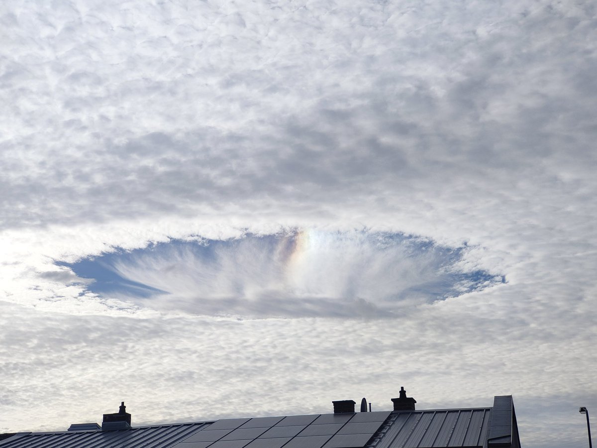 Heiliges Gemüse tweet media